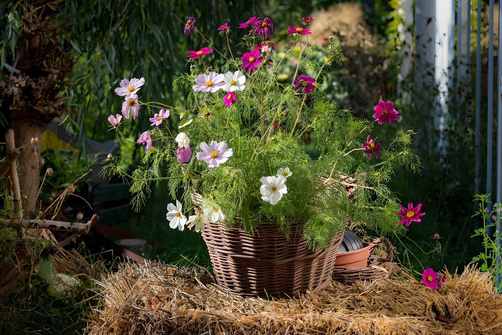 Kleurrijke bloemen in een rieten mand