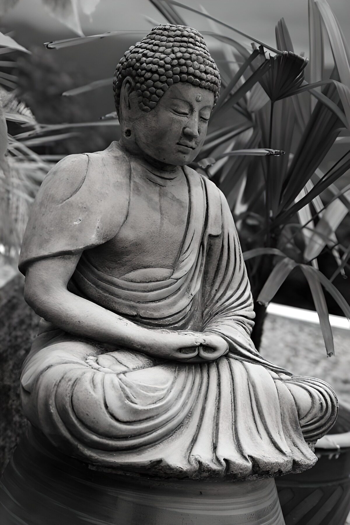 Mediterende Boeddha in Grijswaarden