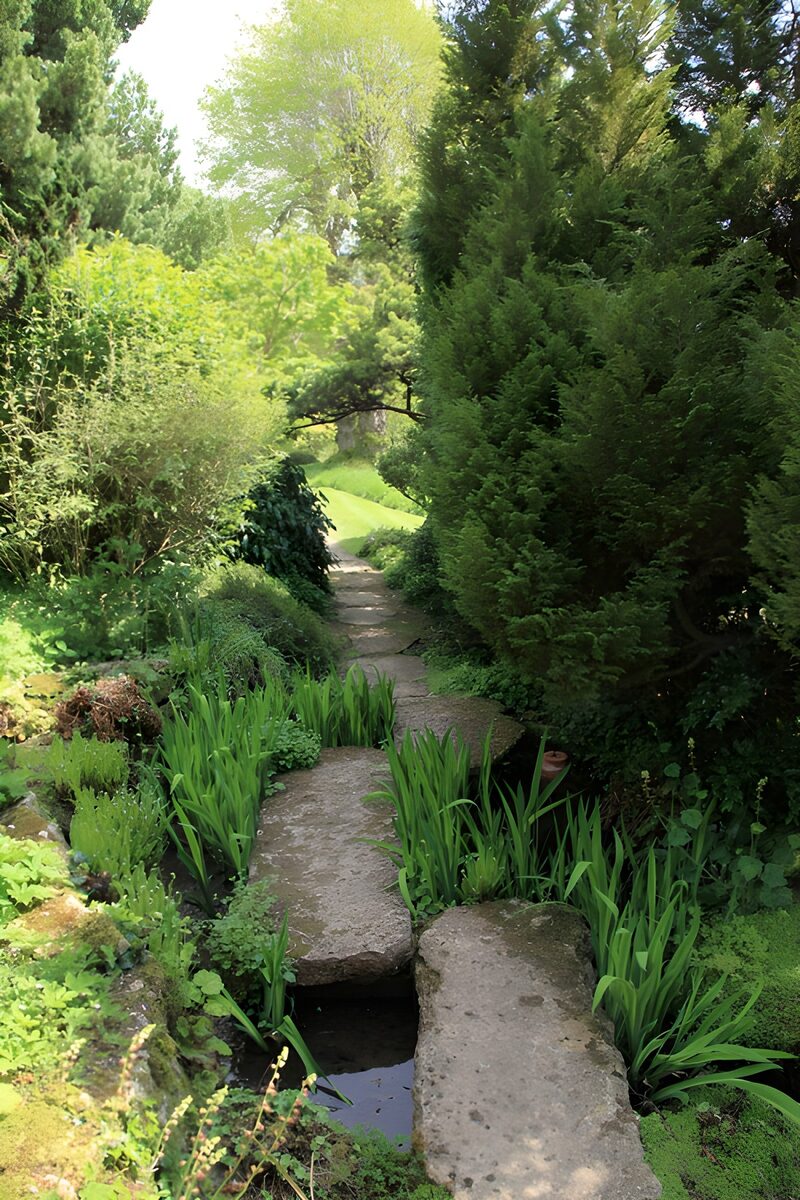 Rustige tuin met stenen pad