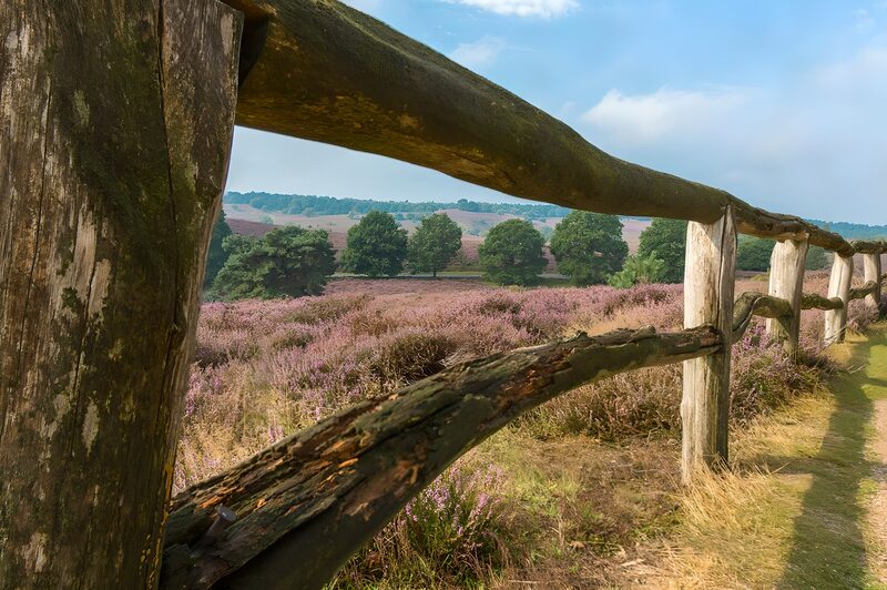 Houten hek met doorkijk op hei
