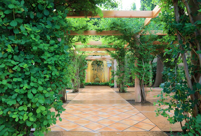 Prachtige groene tuin met pergola