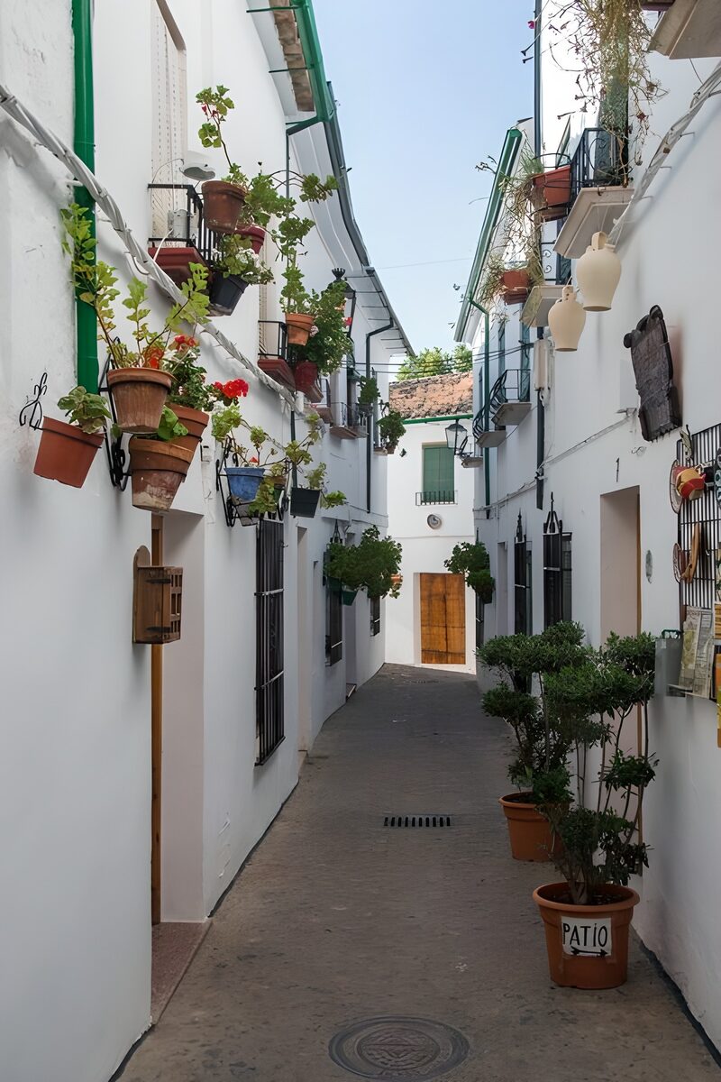Sfeervolle straat met bloeiende planten