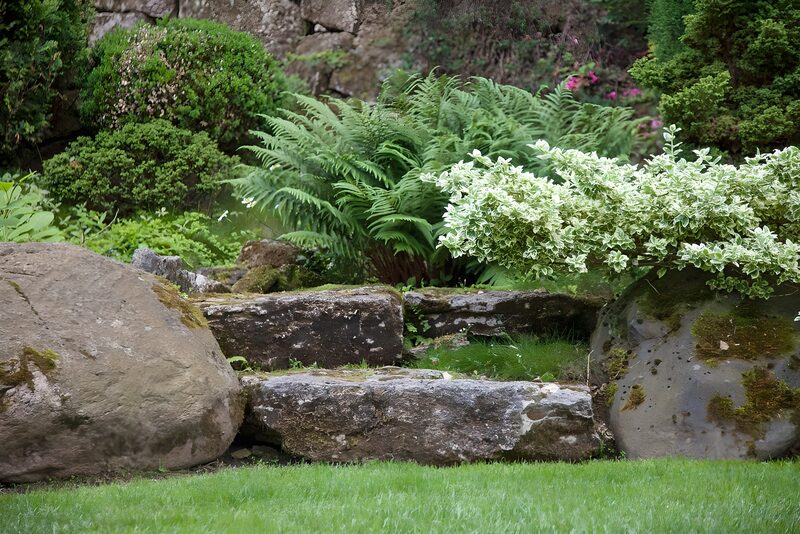 Rustige tuin met rotsen en groen