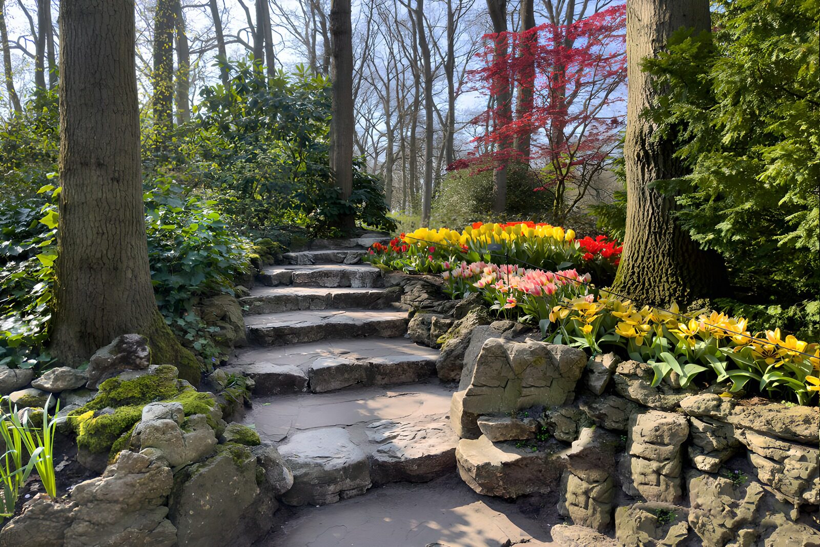 Tuin met pad omhoog omringd met bloemen en planten