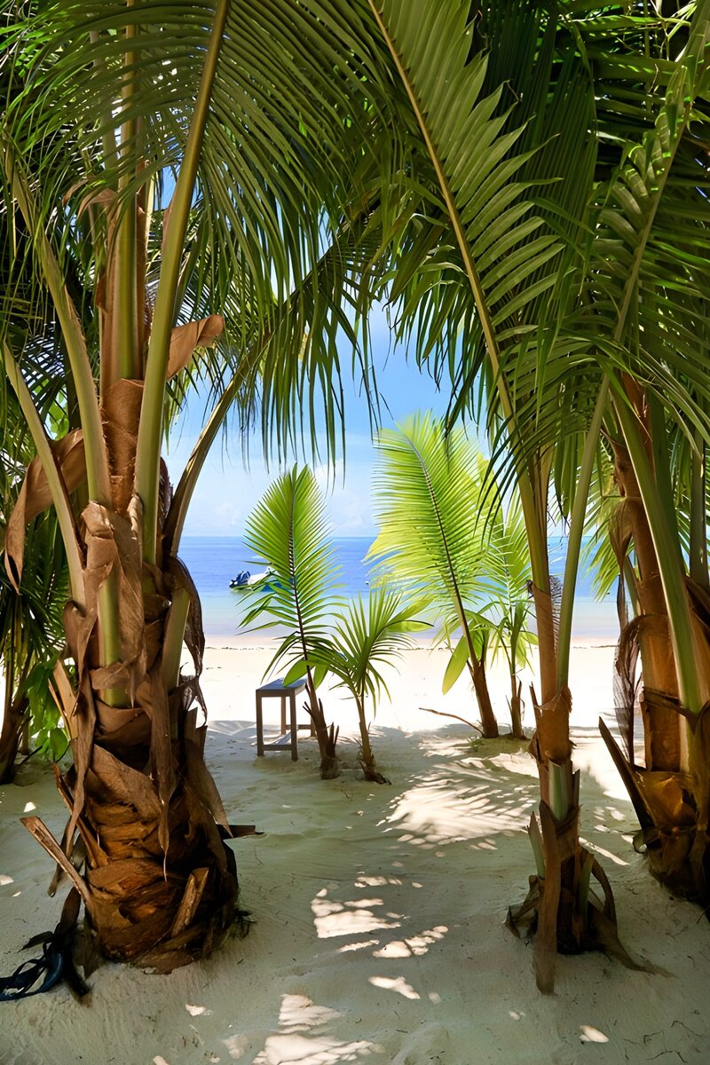 Doorkijk door palmbomen op tropisch strand