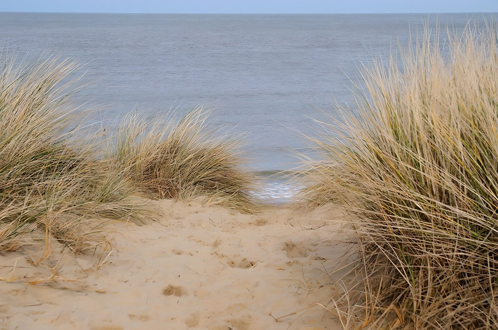 Zandpad naar de zee tussen de duinen