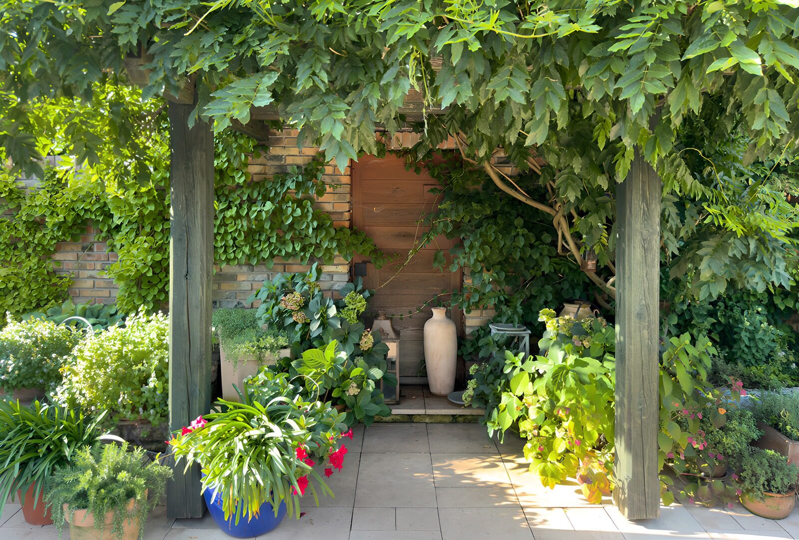 Groene oase met planten en potten