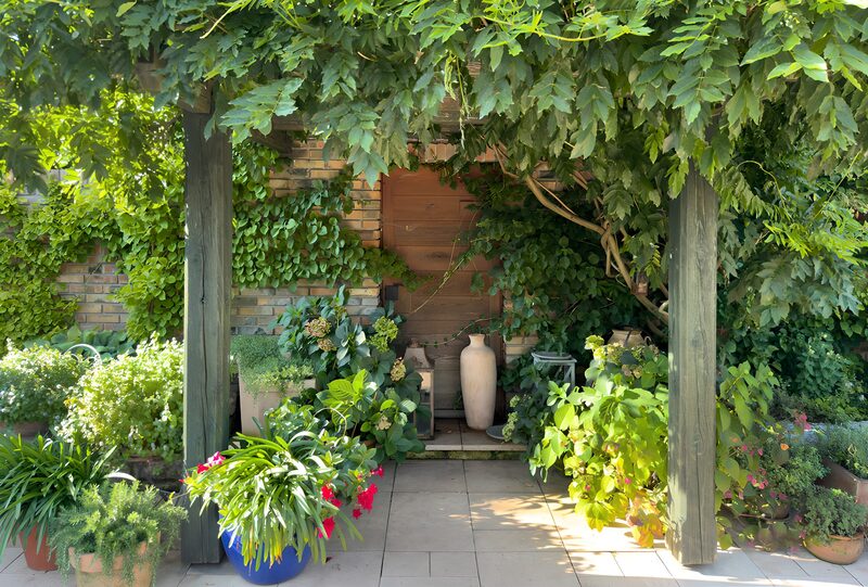 Groene oase met planten en potten