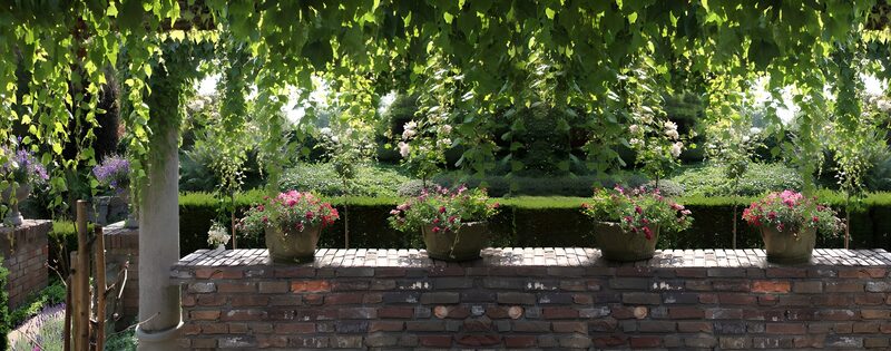 Bloeiende tuin met stenen muur en planten