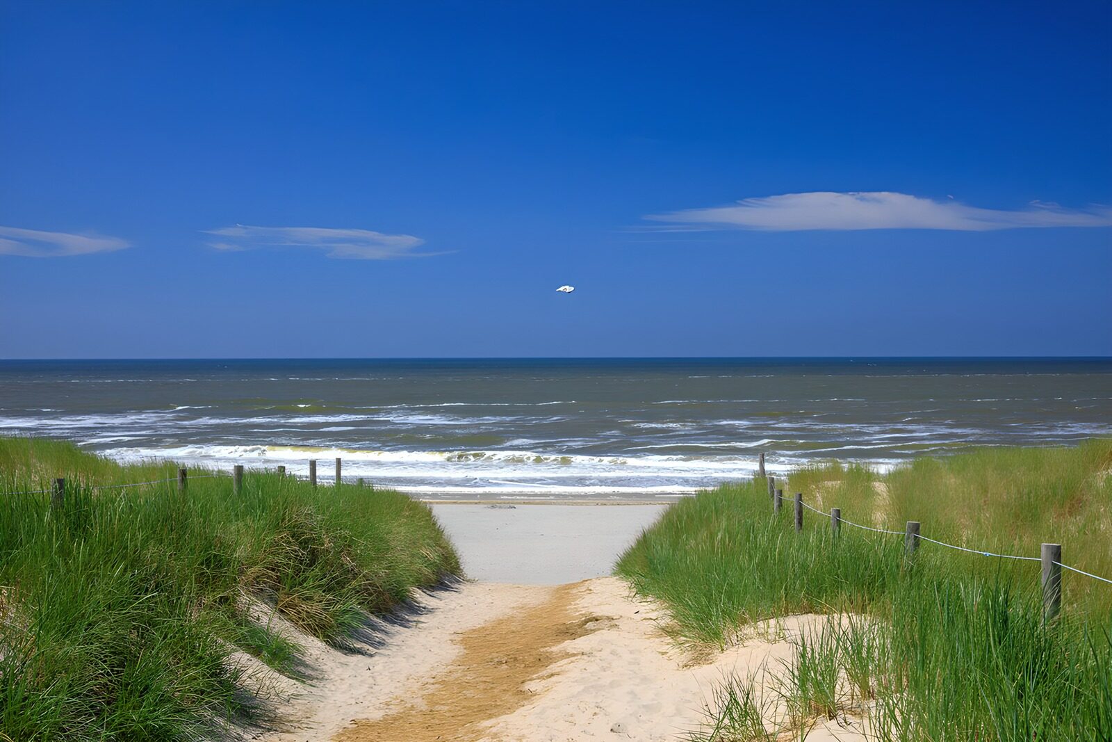 Rustig strandpad naar de zee