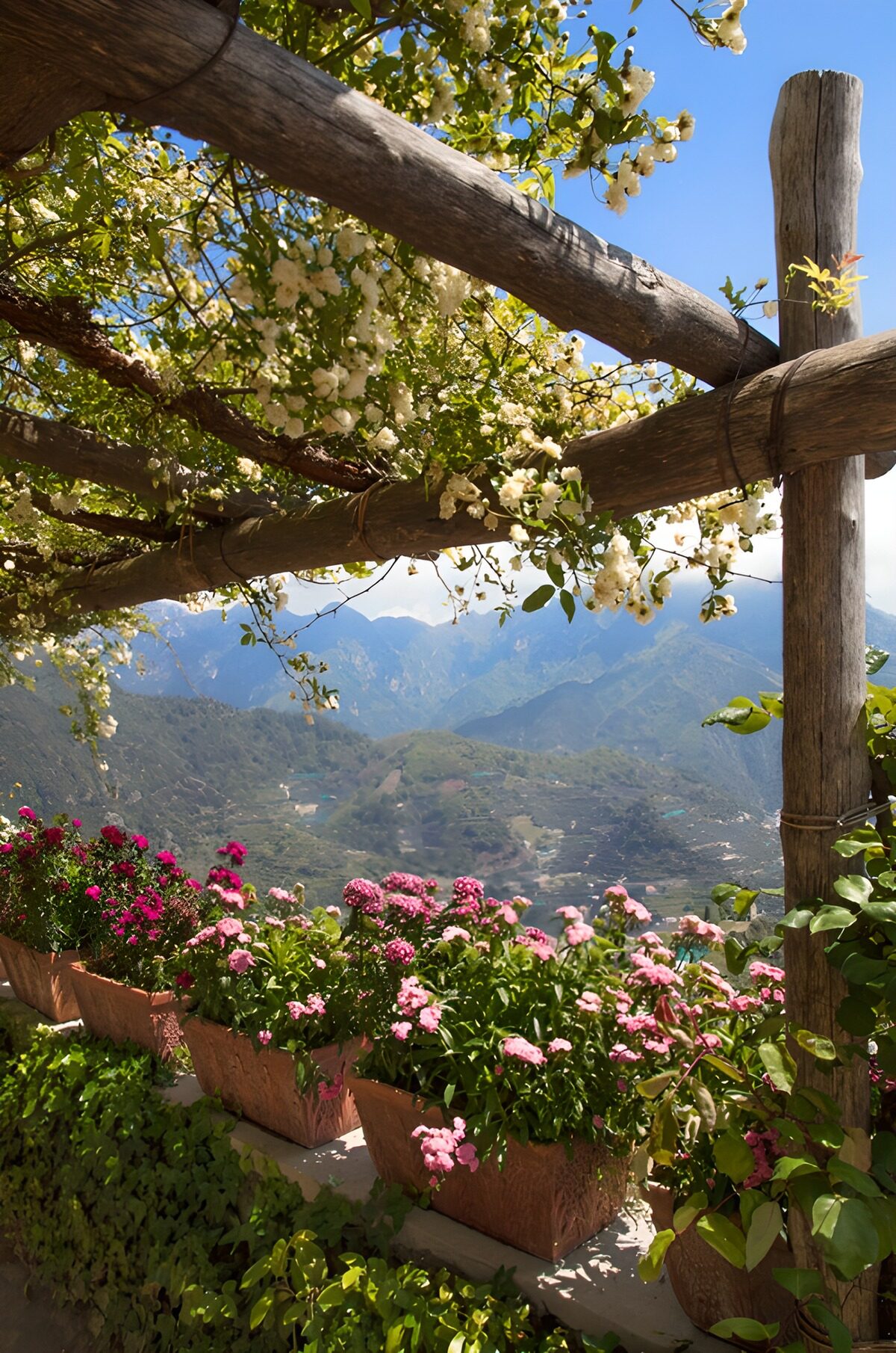 Bloemenpracht met bergpanorama