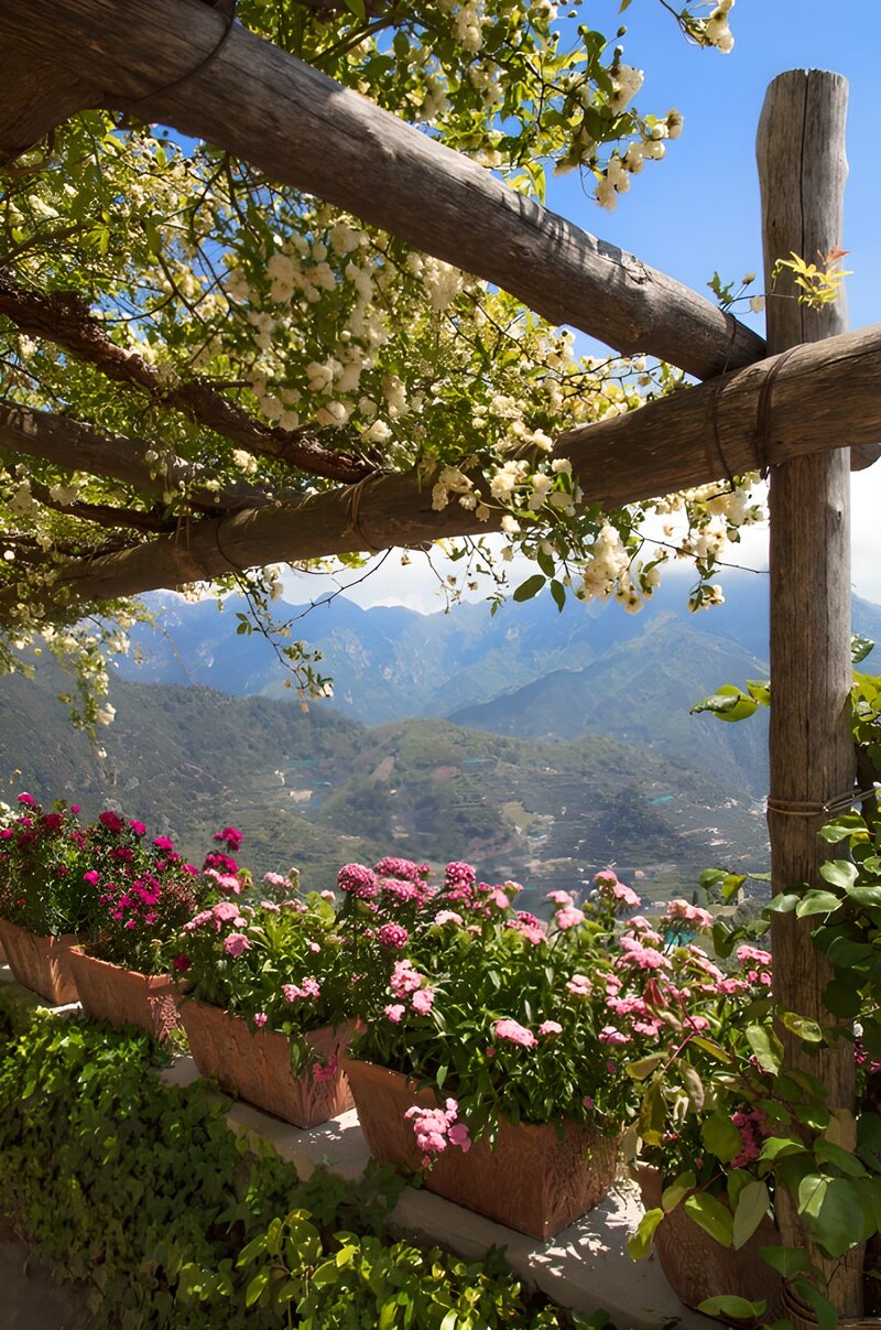Bloemenpracht met bergpanorama