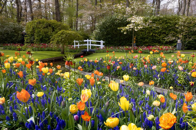 Kleurrijke bloementuin met brug