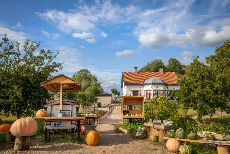Landelijke pompoenmarkt bij boerderij