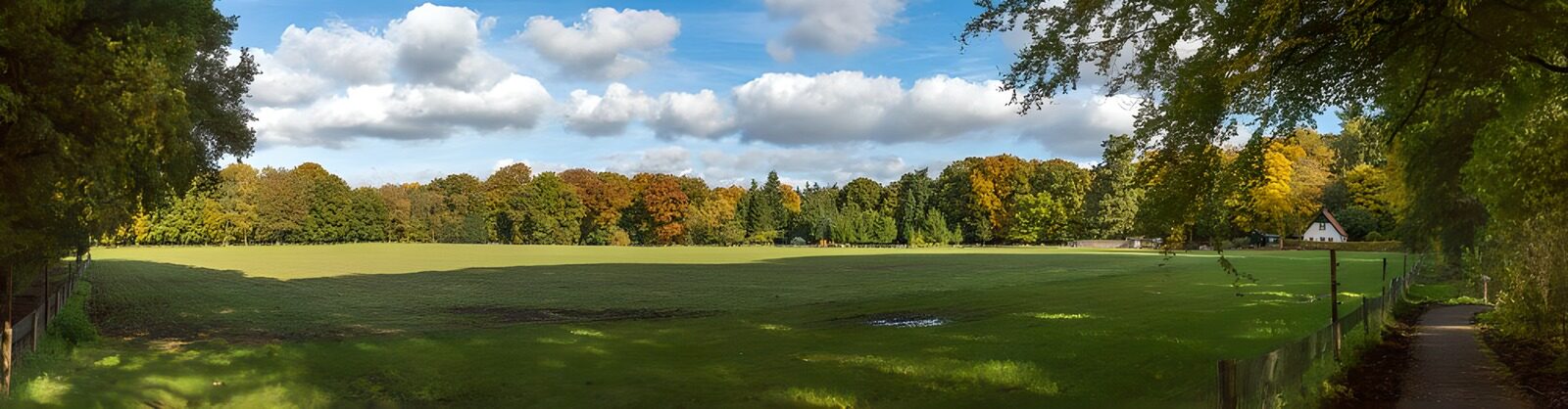 Kleurrijk herfstlandschap