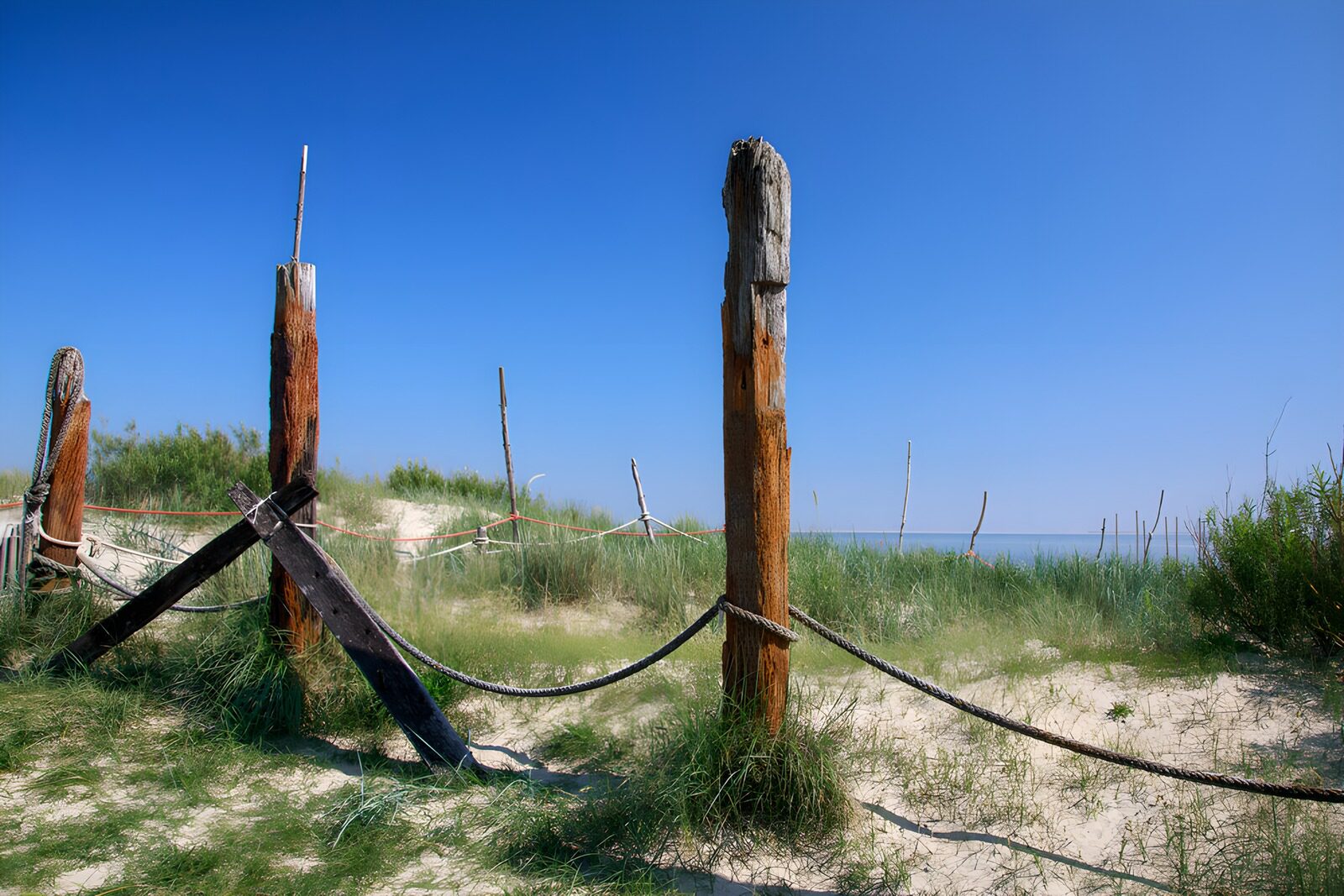 Oude palen aan het strand