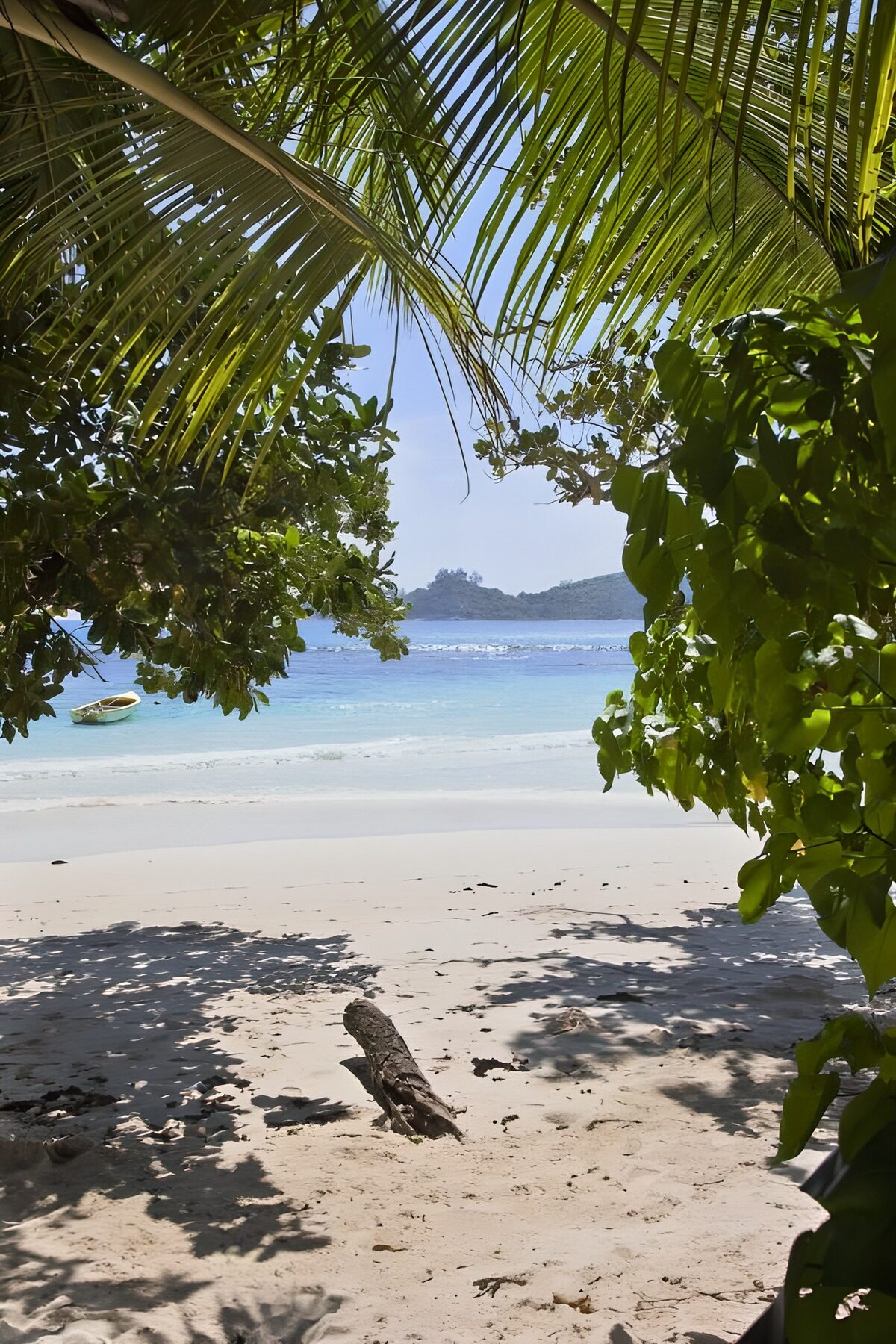 Tropisch strand met palmbomen