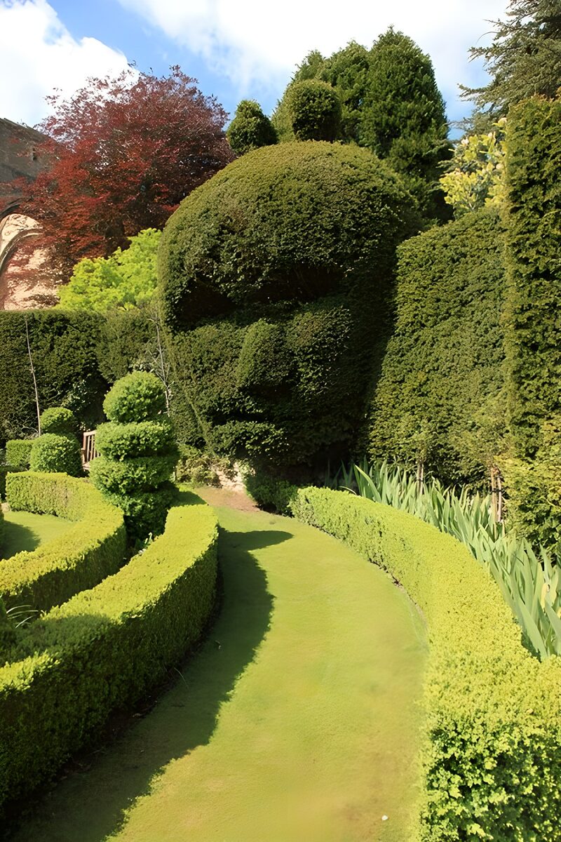 Groene Kunst: Sculptuur van een Gezicht