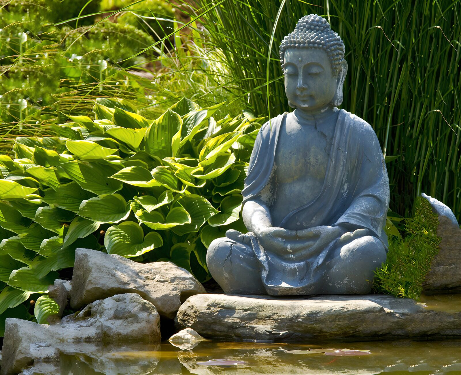 Mediterende Boeddha in de Natuur