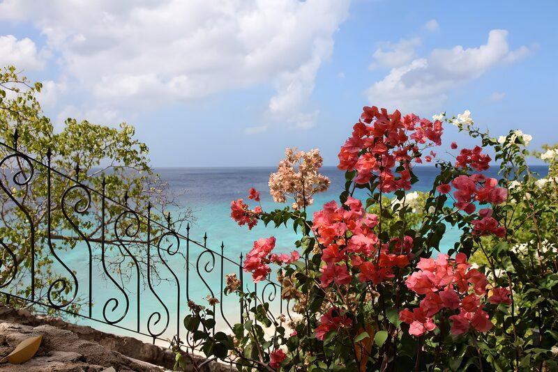 Bloemen aan een Caribisch strand