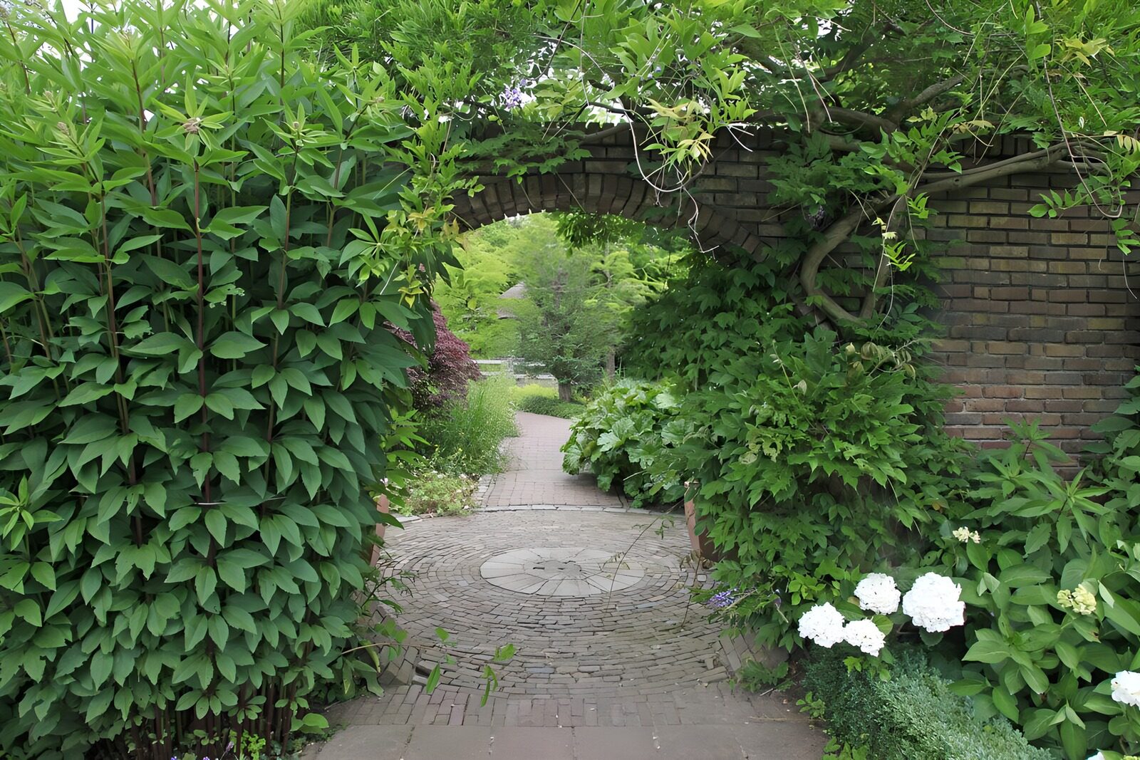 Groene poort naar een rustig pad