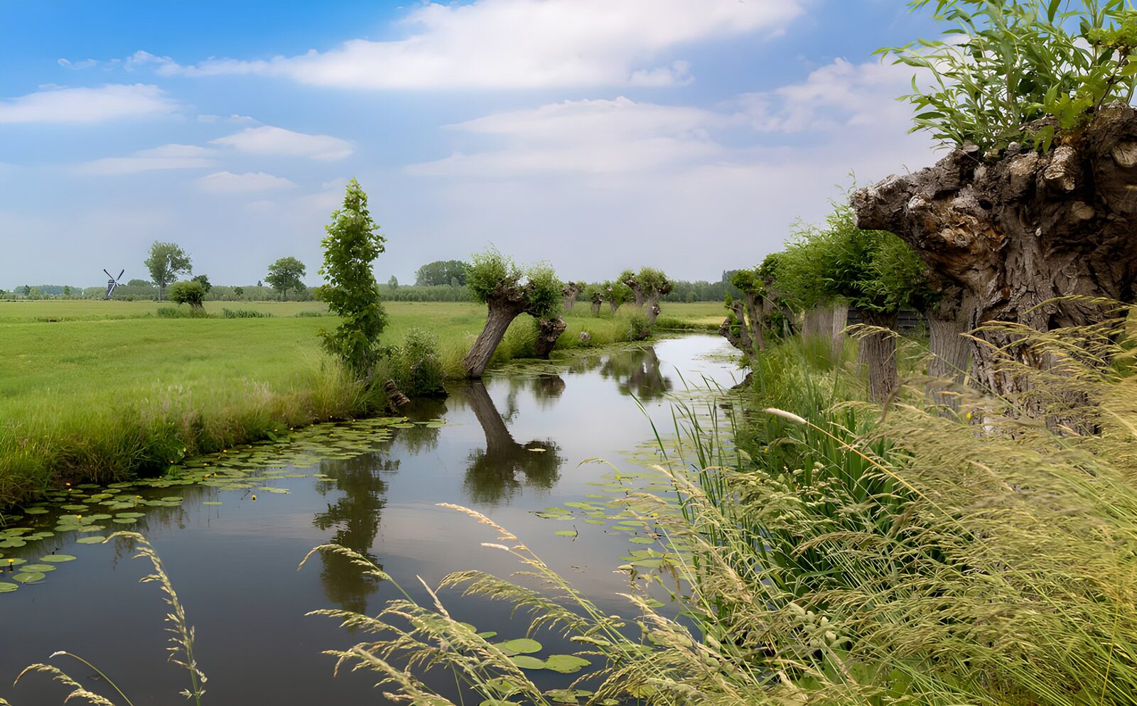 Rustige Waterkant met Loodrecht