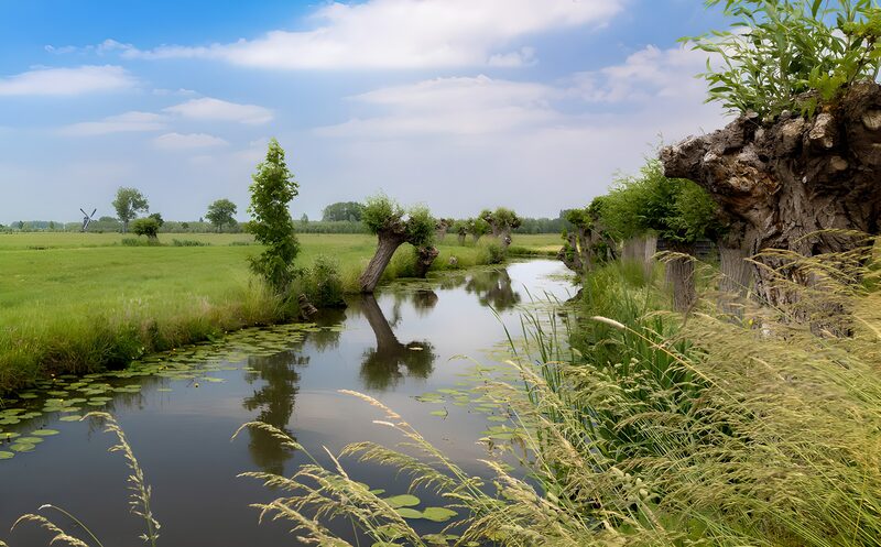 Rustige Waterkant met Loodrecht