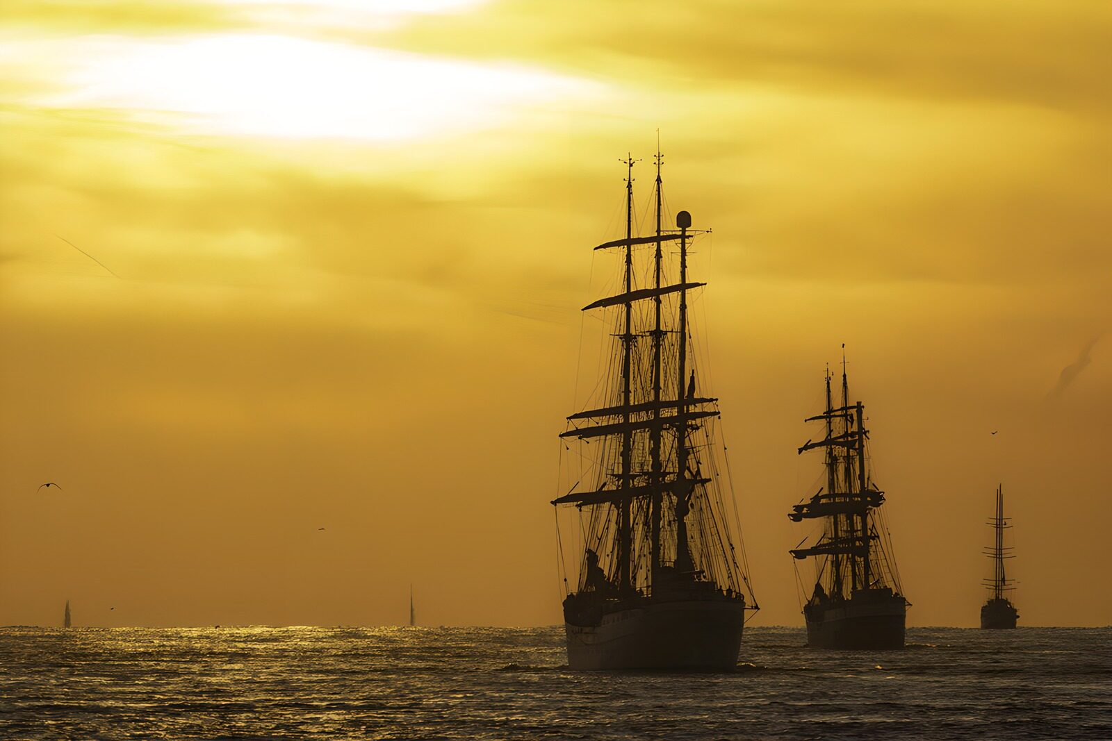 Zeilschepen tegen een zonsondergang