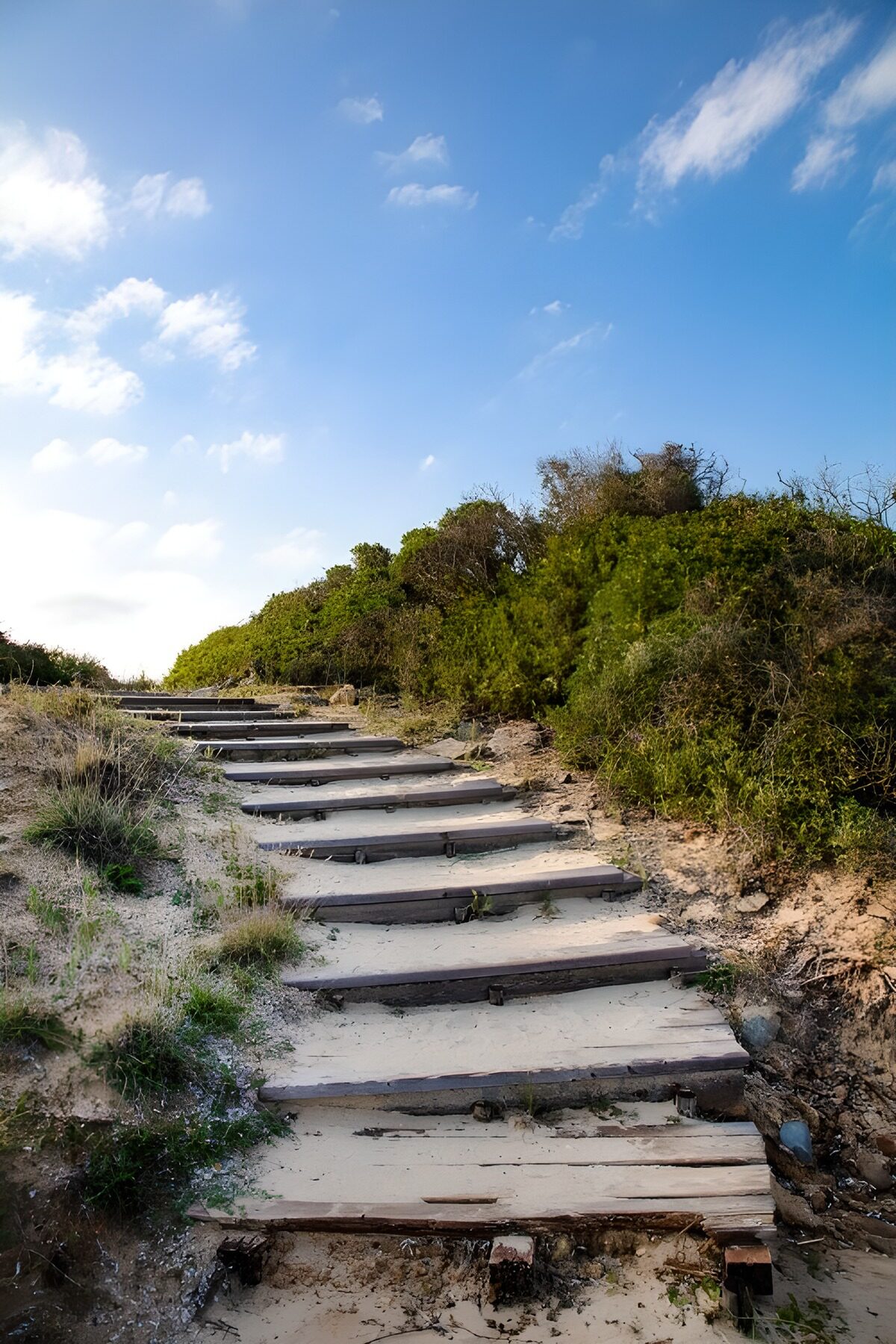 Houten trappen naar de natuur