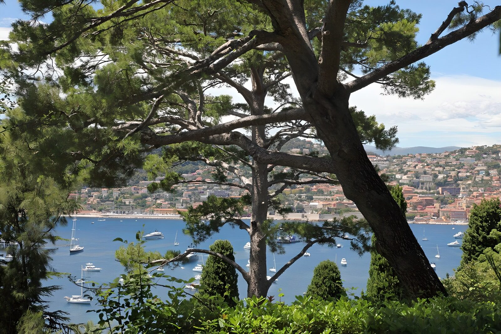 Uitzicht over de baai met bomen
