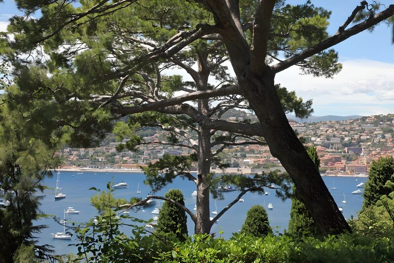 Uitzicht over de baai met bomen