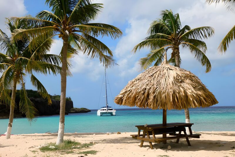 Tropisch Strand met Palmbomen