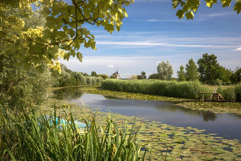 Rustig Molenlandschap bij Water