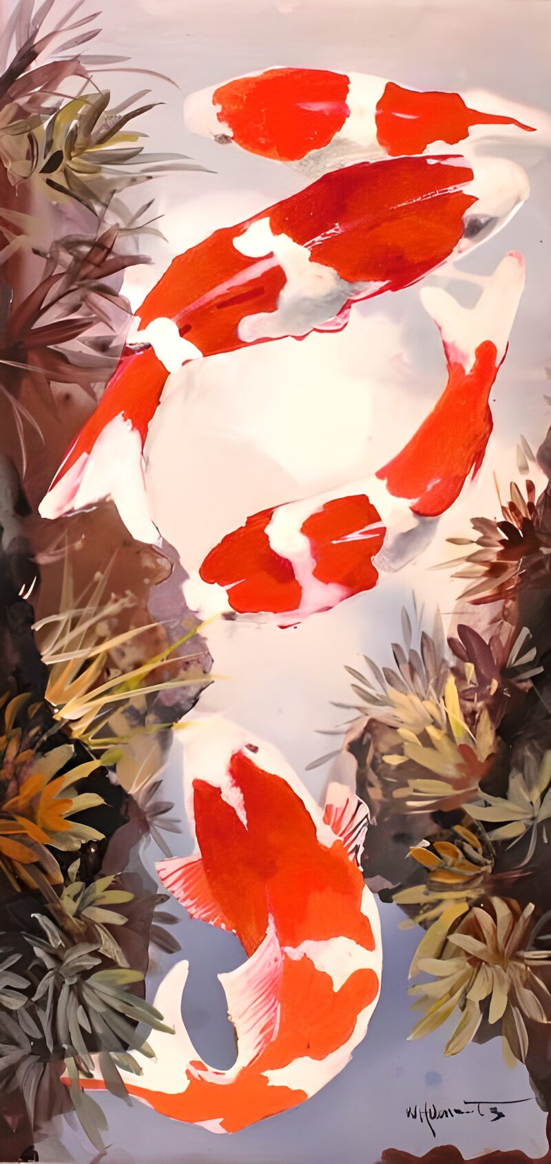 Koi-vissen in harmonie