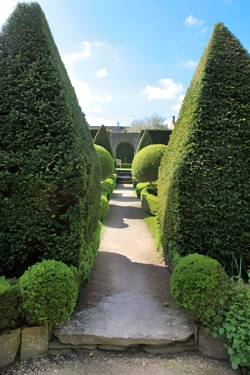 Sfeervolle tuin met groene haagbeplanting