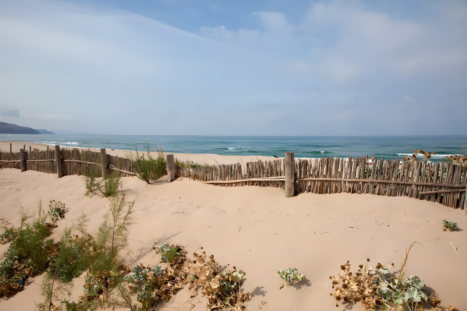 Rustige kust met zand en begroeiing