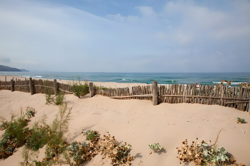 Rustige kust met zand en begroeiing