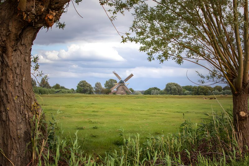 Molens in het groene landschap