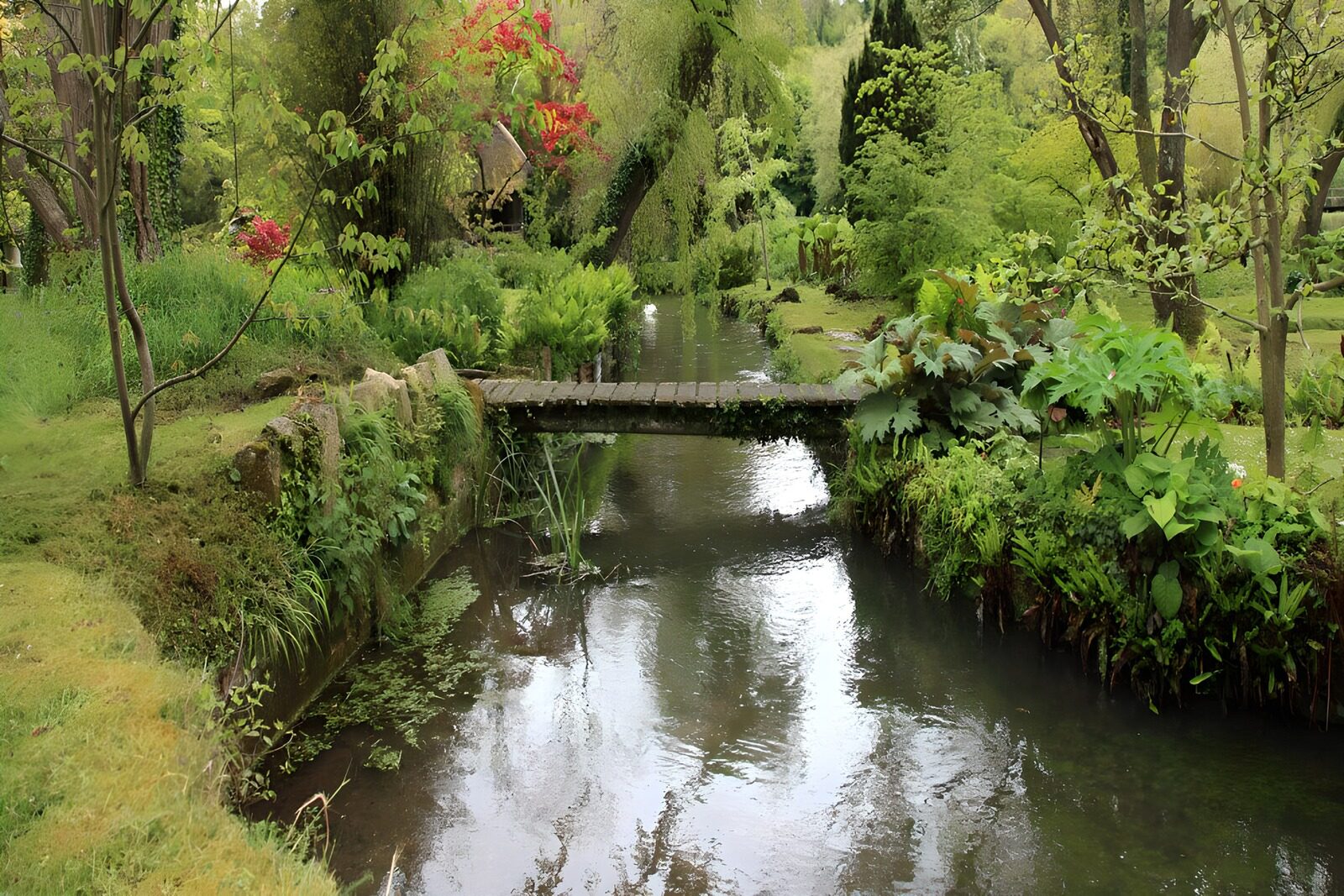 Betoverend Tuinpad met een Brug