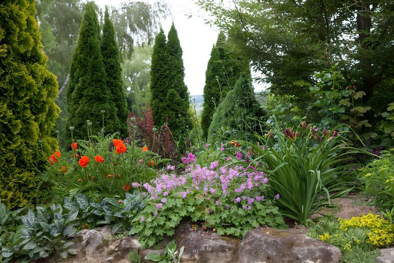 Prachtige Bloementuin met Groene Coniferen