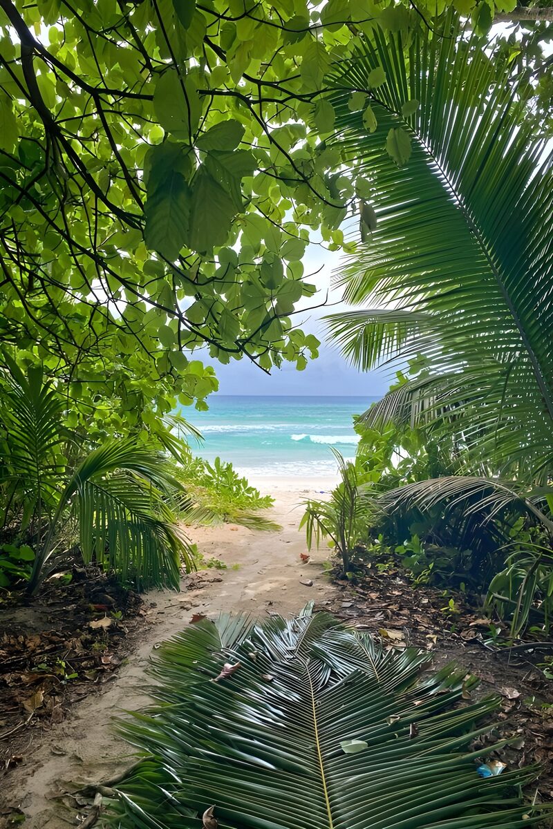 Poort naar het tropische strand