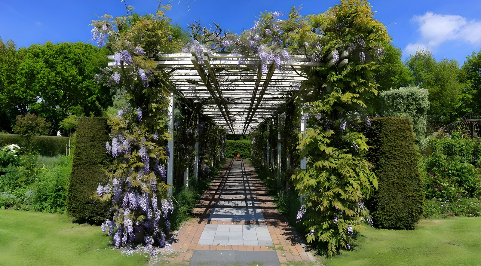 Paden onder bloeiende pergola