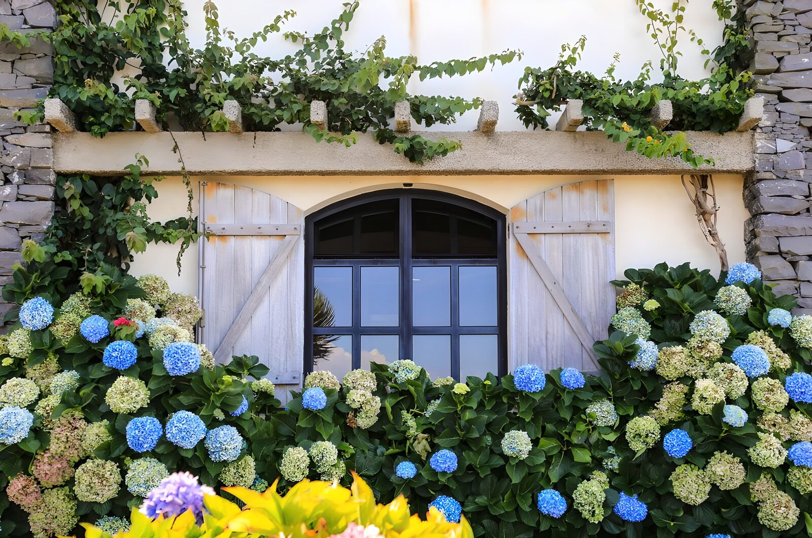 Raam met luikjes en bloemen