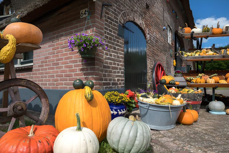 Herfstmarkt vol pompoenen en groenten