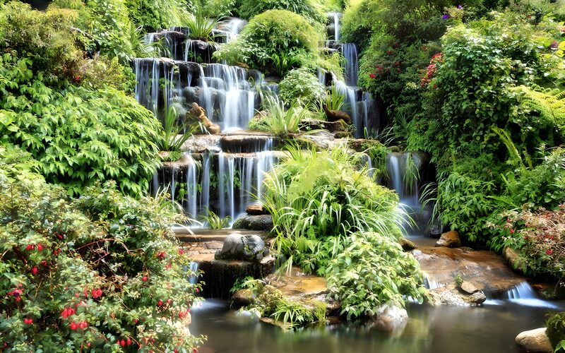 Waterval omgeven door weelderige natuur