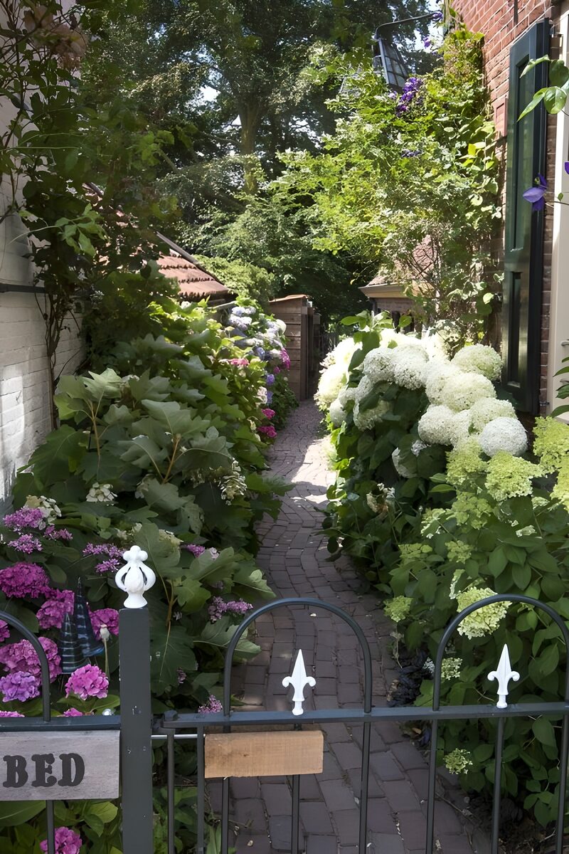 Stenen paadje met bloemen bij een Bed and Breakfast