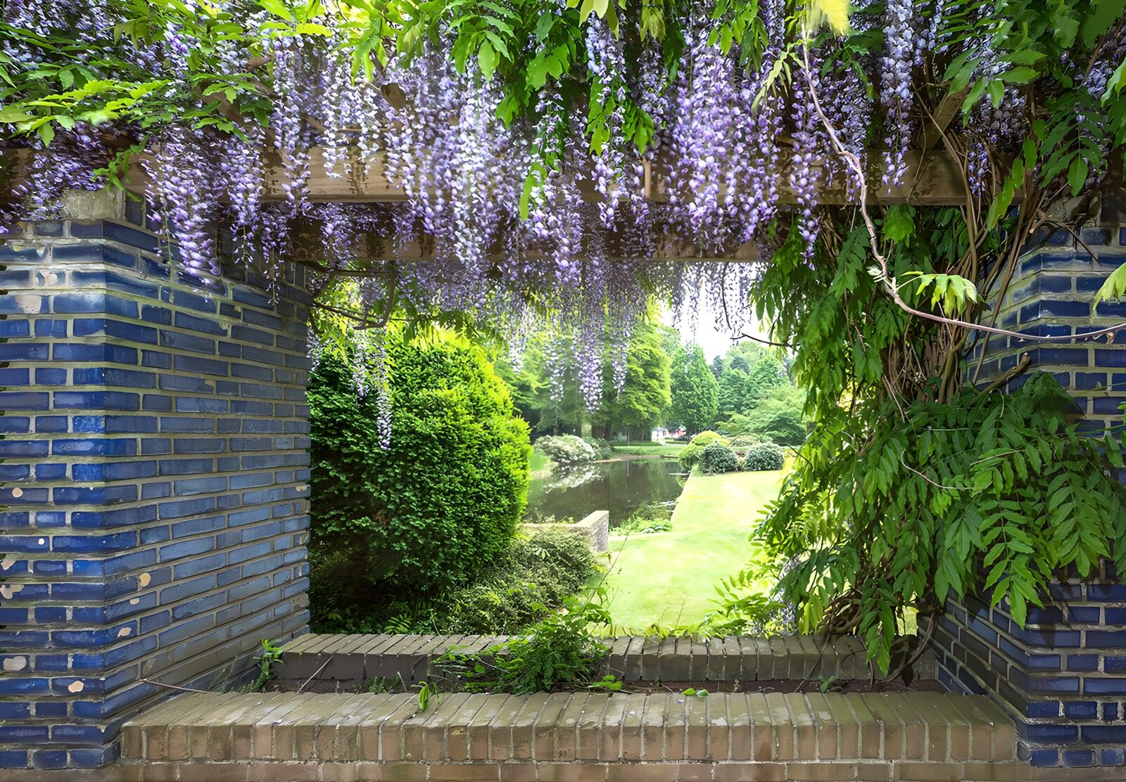 Bloeiende wisteria in een tuinpoort