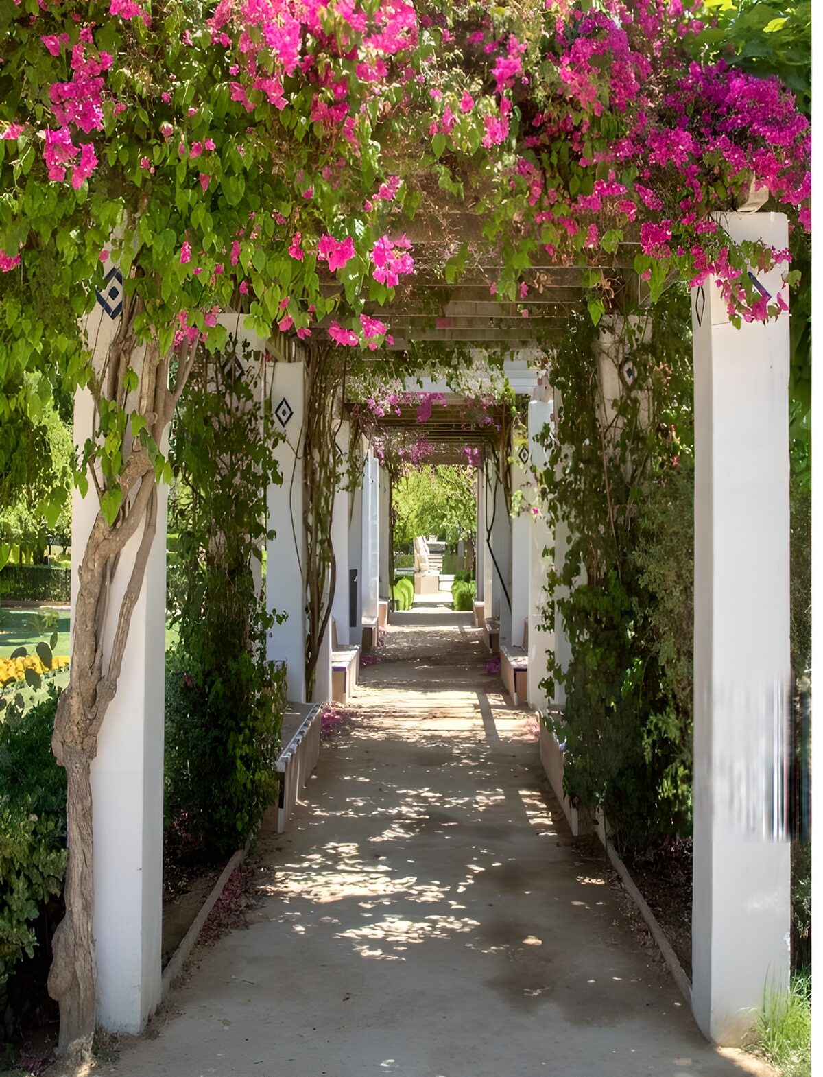 Bloemenoverkapping met pergola