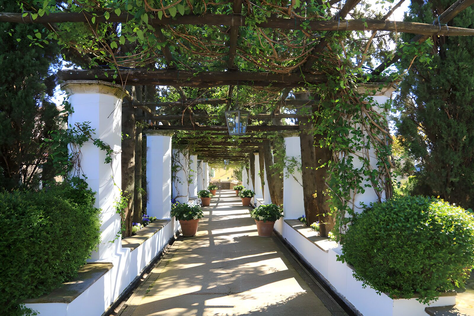 Sprookjesachtige tuinpad onder groene pergola