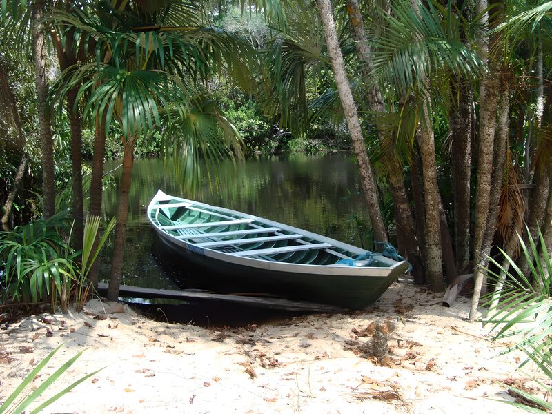 Rustige boot in tropisch landschap